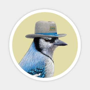 Blue jay Magnet